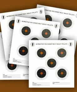 Bisley Five Target on Economy Grade Paper