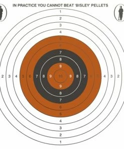 Bisley Single Target on Economy Grade Paper