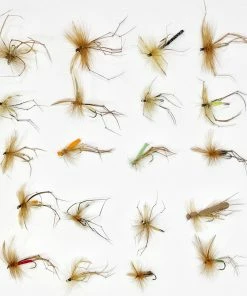Stillwater 20x Daddy Long Legs