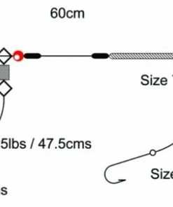 Tronixpro 2Hook Loop Rig