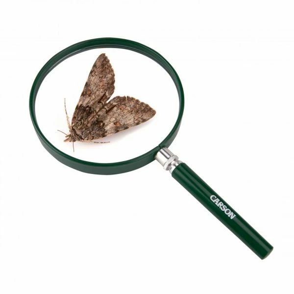 Carson 2x (5 inch) BigEye Acrylic Hand Magnifier 2 Carson 2x (5 inch) BigEye Acrylic Hand Magnifier - Image 2