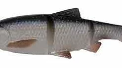 Glasgow Angling -Glasgow Angling 3d lbr swim n jerk lures roach