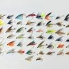 Stillwater Assorted Wet Flies x 50