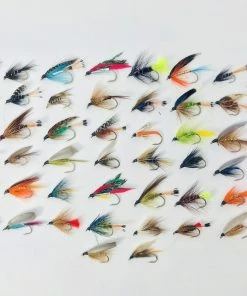 Stillwater Assorted Wet Flies x 50