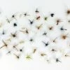 Stillwater Assorted Dry Flies x 50