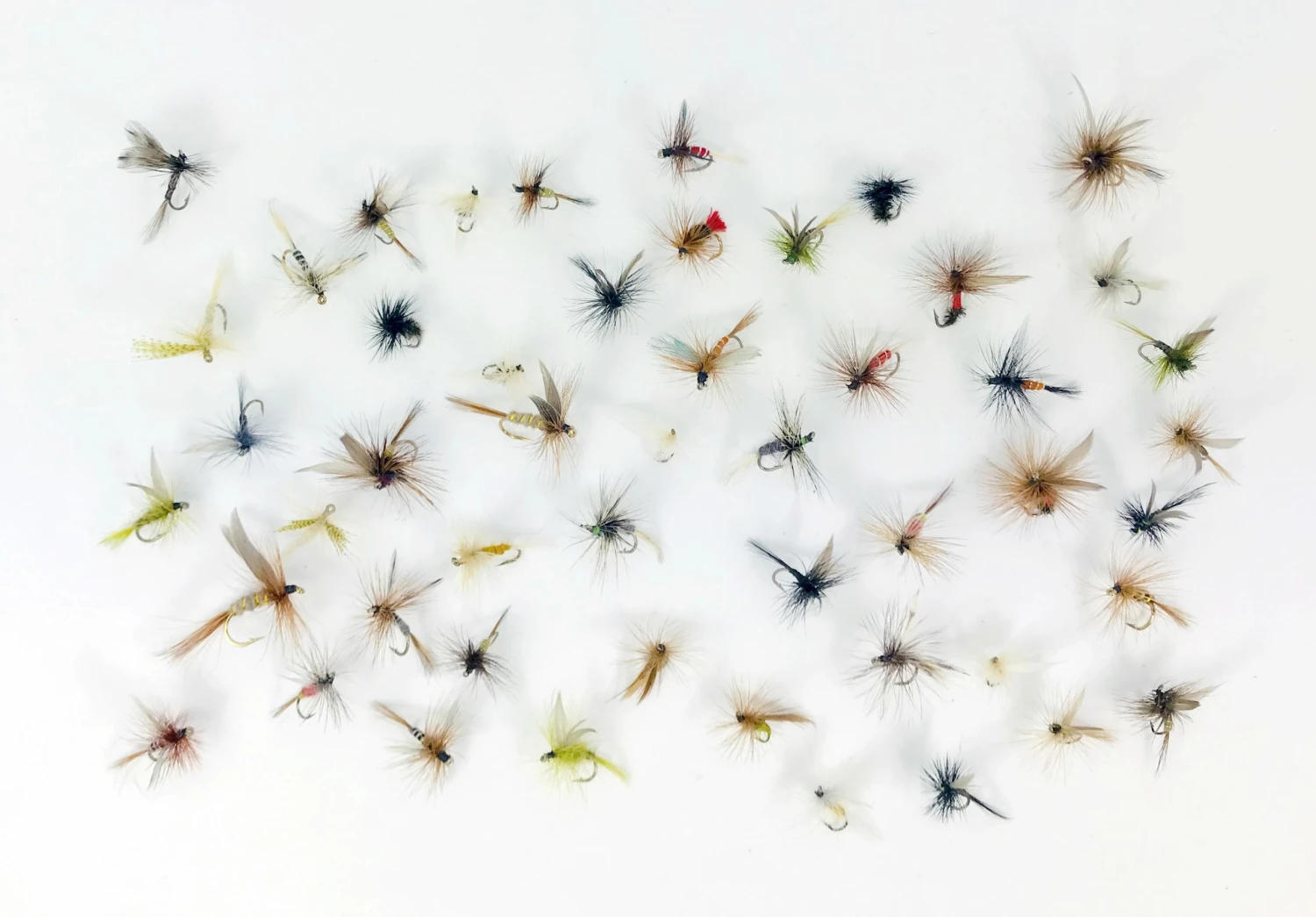 Stillwater Assorted Dry Flies x 50 1 Stillwater Assorted Dry Flies x 50