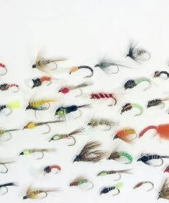 Stillwater Fly Box and 150 Flies Special Offer -Glasgow Angling 50 assorted nymphs scaled