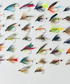Stillwater Fly Box and 150 Flies Special Offer -Glasgow Angling 50 assorted wet flies scaled