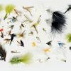 Stillwater 50 Popular Mixed Flies