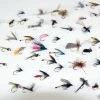 Stillwater 50 x Assorted River Flies