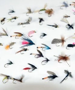 Stillwater 50 x Assorted River Flies
