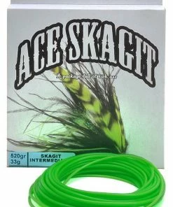 Vision Ace Skagit Head