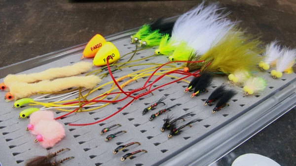 Fario Fly All Year Stillwater Collection - Rhys Wadley 6 Fario Fly All Year Stillwater Collection - Rhys Wadley - Image 6