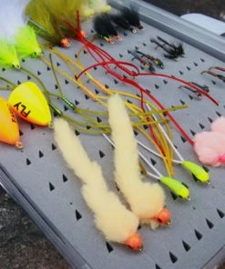 Fario Fly All Year Stillwater Collection - Rhys Wadley 12 Fario Fly All Year Stillwater Collection - Rhys Wadley -Glasgow Angling all year stillwater collection rhys wadley