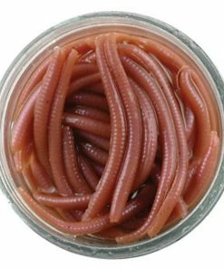 Berkley Gulp Alive Baits -Glasgow Angling angle worm brown natural