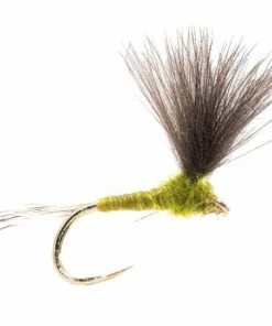 Fario Fly Barbless CDC Light Olive Upwing Size: 16