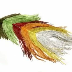 Veniard Barred Long Ostrich