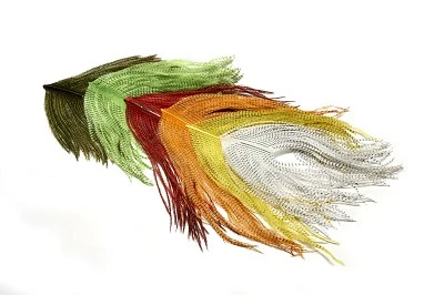 Veniard Barred Long Ostrich 1 Veniard Barred Long Ostrich