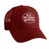 Winston Big Hole Hat