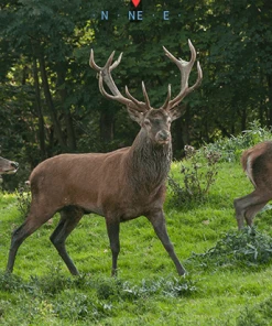 ATN BinoX 4K Smart 4K Day / Night Rangefinder Binoculars 4 -16 -Glasgow Angling binox 4k smart 4k 4 16 day