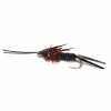 Stillwater Black Griffs Crawlers - 1 Dozen