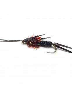 Stillwater Black Griffs Crawlers - 1 Dozen