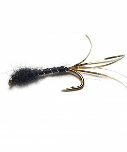 Stillwater Black Holo Scottish International - 1 Dozen
