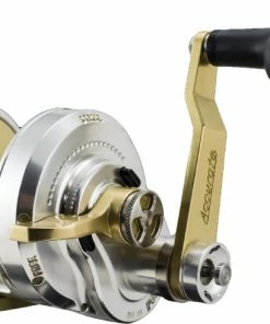 Accurate Boss Fury 2 Multiplier Reel