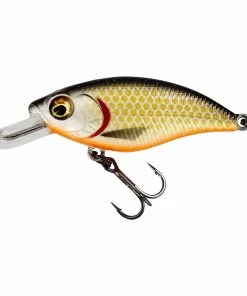 Westin BuzzBite Crankbait Suspended Lure 10 Westin BuzzBite Crankbait Suspended Lure -Glasgow Angling buzzbite crankbait official roach