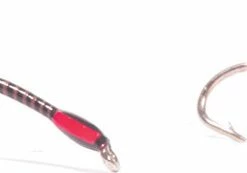 FAF Buzzer Selection