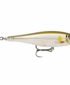 Rapala BX Minnow Lures