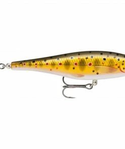 Rapala BX Minnow Lures 16 Rapala BX Minnow Lures -Glasgow Angling bx minnow brown trout tr
