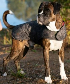 Nash Camo Dog Coat -Glasgow Angling camo dog coat 3