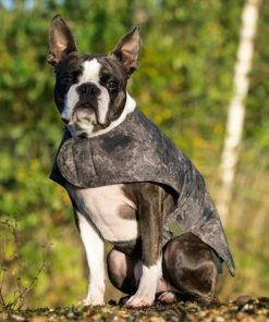Nash Camo Dog Coat -Glasgow Angling camo dog coat 4