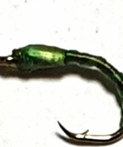 Stillwater Circle Green+Olive Buzzer Size 14 - 1 Dozen