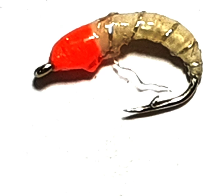 Stillwater Circle Okay Dokey Orange Size 12 - 1 Dozen 1 Stillwater Circle Okay Dokey Orange Size 12 - 1 Dozen