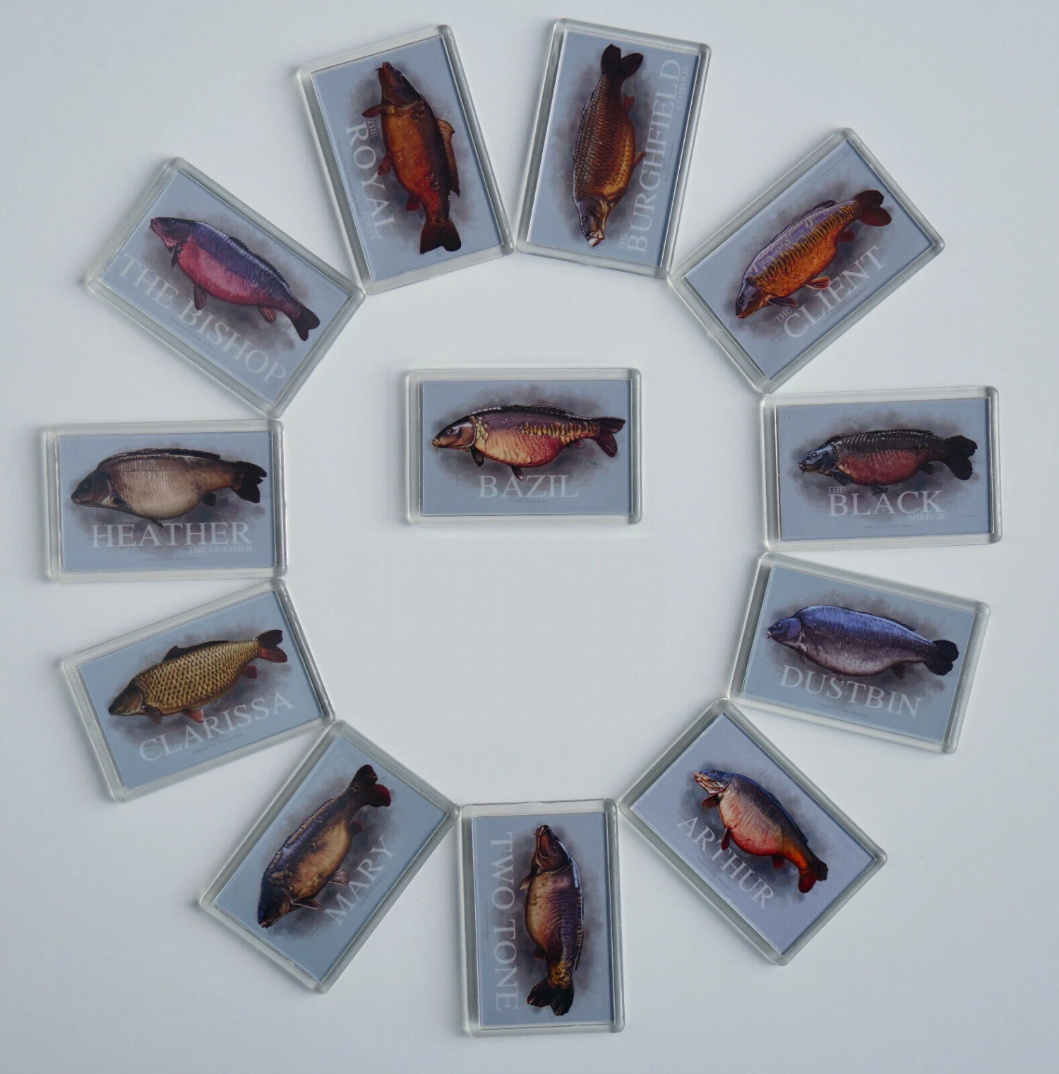 Carp Art Colin Eaton Classic Carp Fridge Magnet 1 Carp Art Colin Eaton Classic Carp Fridge Magnet