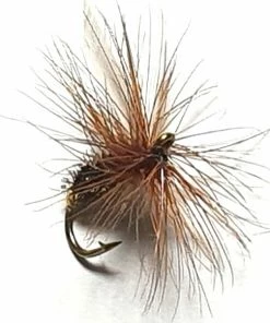 Stillwater Coachman Dry Fly - 1 Dozen