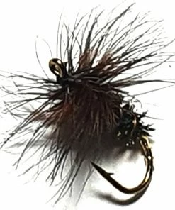 Stillwater Coch-y-Bonddu Dry Fly - 1 Dozen