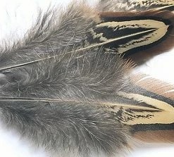 Veniard Cock Pheasant Brown Neck