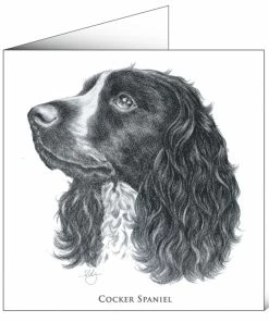 Mayfly Art Cocker Spaniel Greetings Card