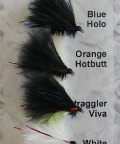 Grando Flies Comorants