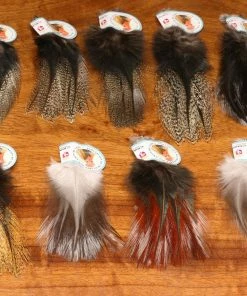 Pluma Gallo Leon Coq De Leon