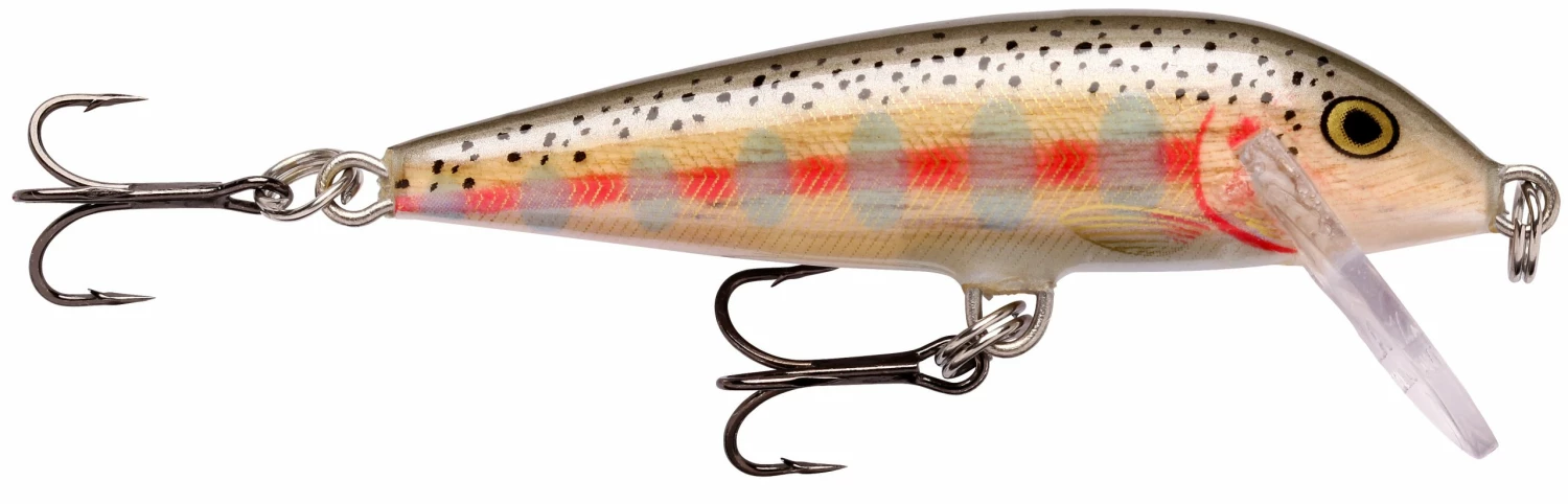 Rapala Countdown Sinking Lure 10 Rapala Countdown Sinking Lure - Image 10