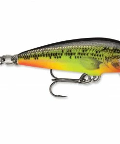 Rapala Countdown Sinking Lure 60 Rapala Countdown Sinking Lure -Glasgow Angling countdown reg fire minnow fmn