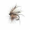 Stillwater Daddy Long Legs - 1 Dozen