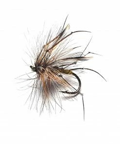 Stillwater Daddy Long Legs - 1 Dozen