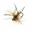 Stillwater Daddy Long Legs Gold Head - 1 Dozen