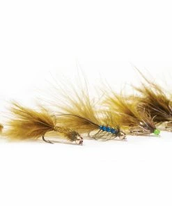 FAF Damsel Selection