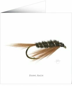 Mayfly Art Diawl Bach Greetings Card